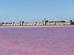 Aigues-Mortes.