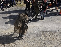 « L'ours » de la Fête de Prats-de-Mollo-la-Preste.