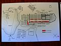 Plan of the concentration camp Mauthausen