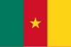 Flag of the Republic of Cameroon