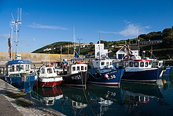 Boats in Helvick Harbour on the Ring peninsula