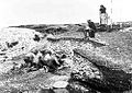 Image 94Excavation of the Ertebølle middens in 1880 (from Atlantic Ocean)