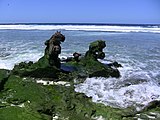 Landing craft wreckage on Baker Island coast