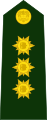 Brigadier general (Colombian National Army)[१९]