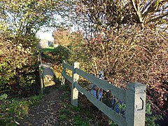 Footpath to Wentbridge and Thorpe Audlin - geograph.org.uk - 2154003.jpg