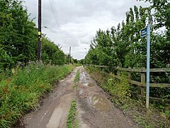 Ninevah Lane - geograph.org.uk - 2502094.jpg