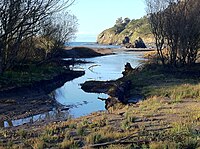 Redwood Creek supplies water to the Redwood trees of Muir Woods National Monument