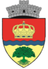 Coat of arms of 1 Decembrie