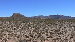 Typical Karoo vegetation to the south of Matjiesfontein, with the Anysberg Mountains visible in the background