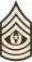 Command Sergeant Major