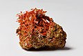 Image 70Crocoite, by JJ Harrison (from Wikipedia:Featured pictures/Sciences/Geology)