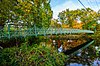 Milford Suspension Bridge