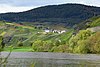 Blick von Brauneberg zum Monzeler Hüttenkopf mit Dorf Monzel