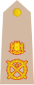 Major general (सोमाली: Sareeye Gaas) (Somali National Army)[६२]