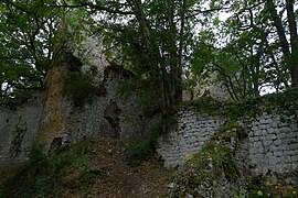 Ruins of the medieval castle