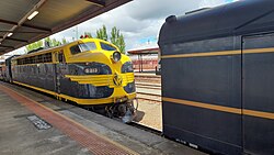 Steamrail Victoria's S313 at Ballarat Station on 30 October 2021