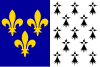 Flag of Brest