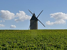 Molen bij Blaignan