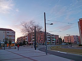 Avenue Les Pins in Blagnac