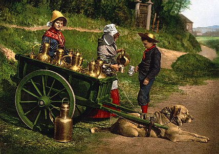 Belçika'nın Brüksel şehrinde köpek arabasıyla süt kabı dağıtan sütçüler (Fotokrom, Detroit Publishing Co., 1890 - 1900). (Üreten: Detroit Publishing Co.)