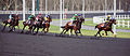 Vincennes Racecourse