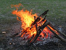 Campfire 4213.jpg