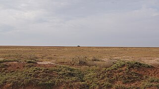 Semi-desert in Narimanovsky District