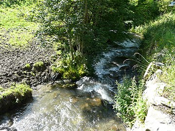 La Neste d'Oueil au pont de la route départementale 51.