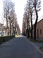 Il viale del Cimitero.