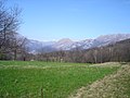 Vista sulle Prealpi dal Colle di Brianza.