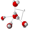 Image 5Model of hydrogen bonds (1) between molecules of water (from Properties of water)