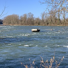 La Garonne avec des oiseaux sur des blocs de béton.