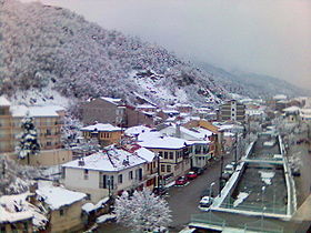 Florina