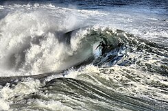 Vanwege de lage temperatuur van het oceaanwater (gemiddeld 14 °C) gebruikt men tijdens het surfen bij Santa Cruz in de Amerikaanse staat Californië vaak een wetsuit