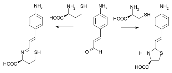 Detection of Homocysteine and Cysteine