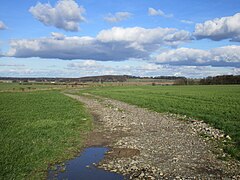 Fields north of Upton - geograph.org.uk - 4821787.jpg