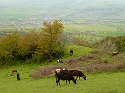 A landscape in Nagorno-Karabakh - a view of the municipality of Qırmızı Bazar