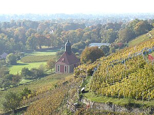 Weinberge und Weinbergkirche bei Pillnitz