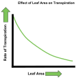 English: The effect of leaf area on the transpiration rate of plants. Español: El efecto del área de las hojas sobre la transpiración en las plantas.