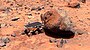 Mars Pathfinder Rover (Sojourner)