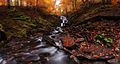 Image 17Waterfall Shypit (height 14 m), Mizhhiria Raion, Zakarpattia Oblast of western Ukraine