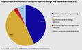 U.S. Employment distribution of computer systems design and related services, 2011[50]