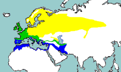 Razširjenost cikovta; zeleno obarvana področja prestavljajo celoletno domovanje, rumena domovanje samo ob pomladnem gnezdenju in modra zimsko domovanje.