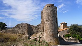 Ruins of the chateau