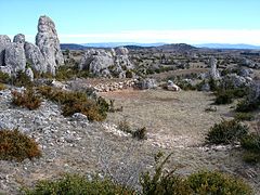 Platoul carstic Causse du Larzac din Masivul Central și formațiunile sale dolomitice.