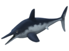 Ophthalmosaurus icenicus