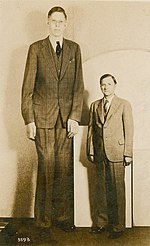 Thumbnail for List of tallest people