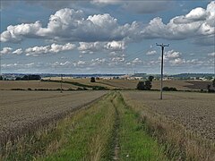 Path from Upton Beacon to Rogerthorpe - geograph.org.uk - 6232968.jpg