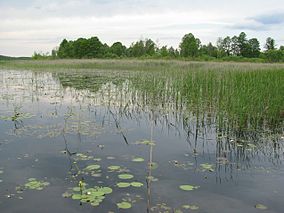 PN Poleski, Lacul Łukie Logo-ul parcului Loc inclus în programul mondial al UNESCO „Omul și Biosfera” (MAB)