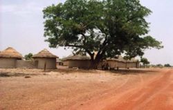 a village near Siguiri town, Siguiri Prefecture, Kankan Region